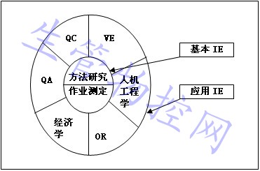 IE的分类