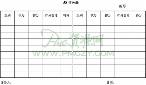 5S评分表