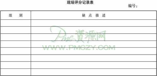 现场评分记录表