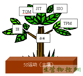 5S运动与相关活动的关系图