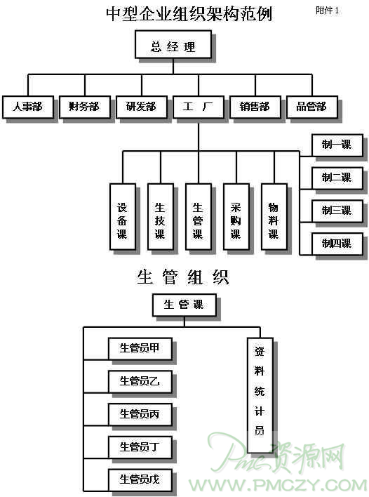 中型企业组织架构范例