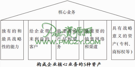 构成企业核心业务的5种资产